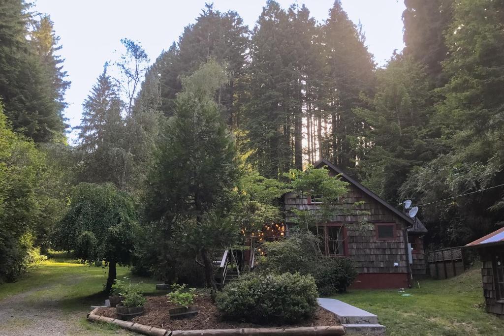 Lucky Clover, Eureka