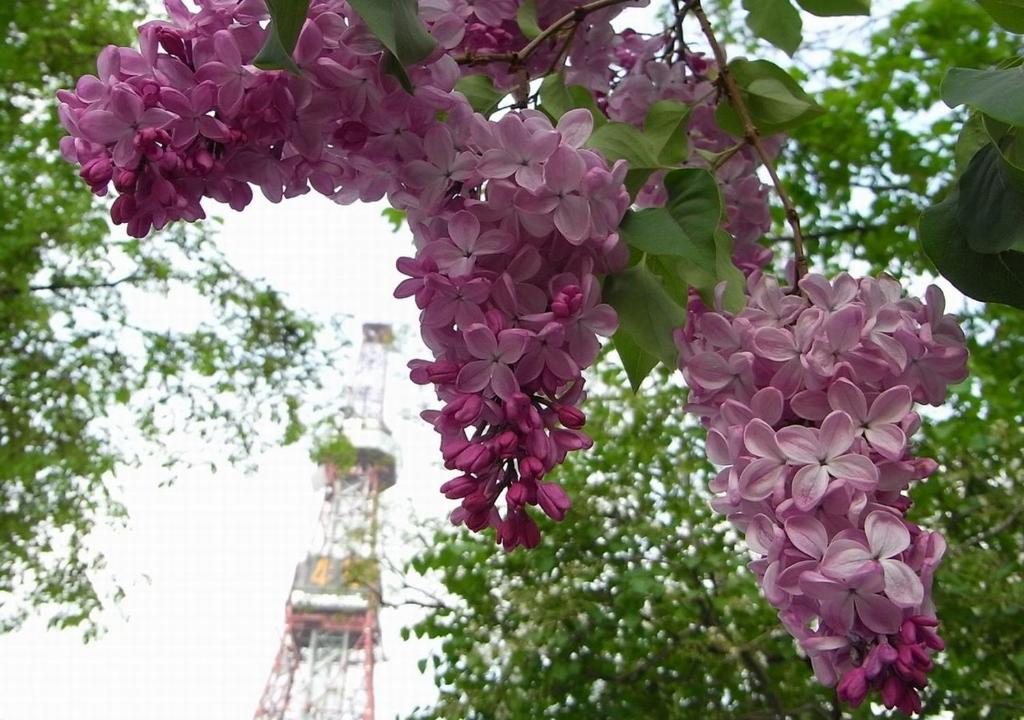 Nearby attraction