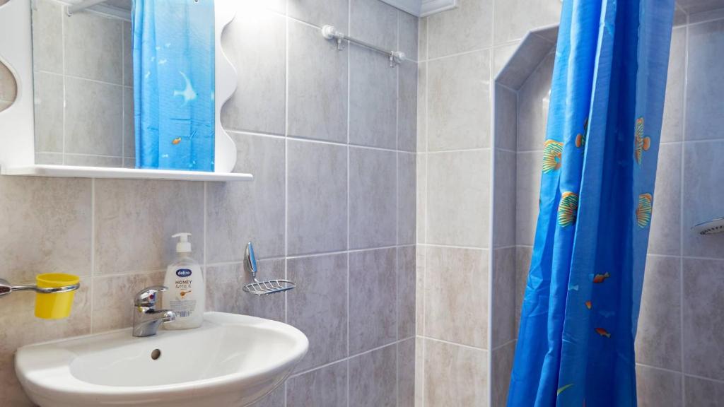 Janković Apartmani u centru - 5