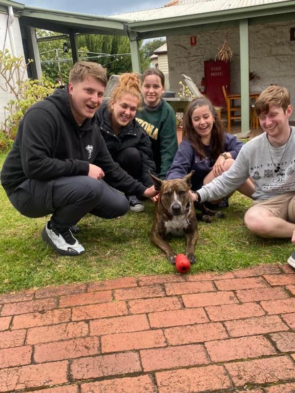 Port Fairy YHA photo