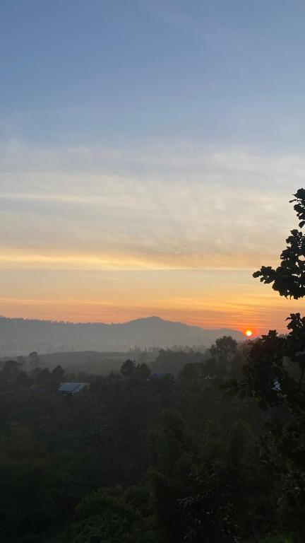 ภูคำฮ้อมคลิฟฟ์ลอดจ์ แอนด์ โฮมสเตย์ Phu come home cliff Lodge & Homestay photo