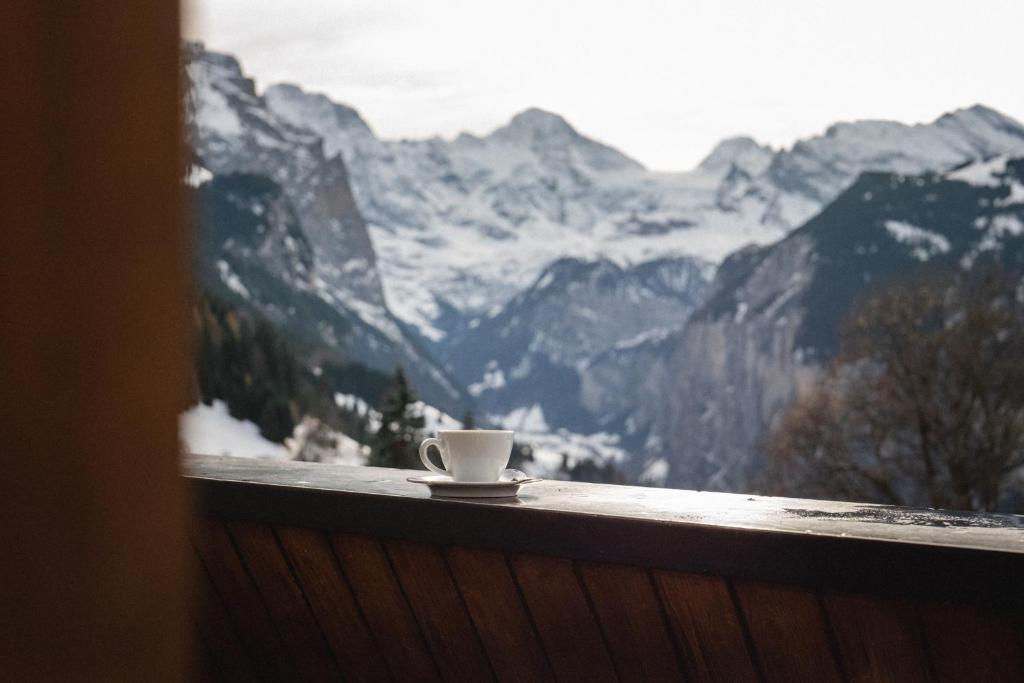 Hotel Silberhorn - Residences & Spa Wengen - 5