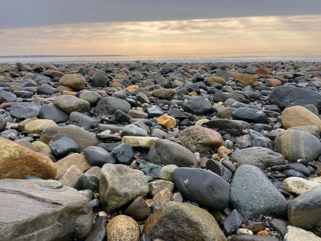 White Sails Inn photo