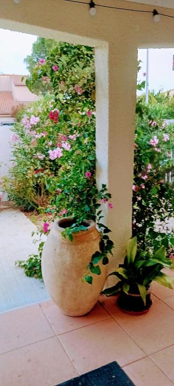 Villa Hélios - 5
