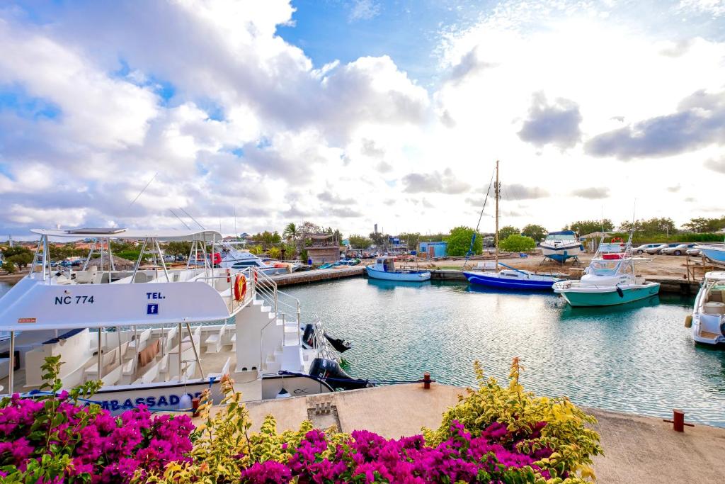 Het paradijs in Jan Thiel!, Jan Thiel