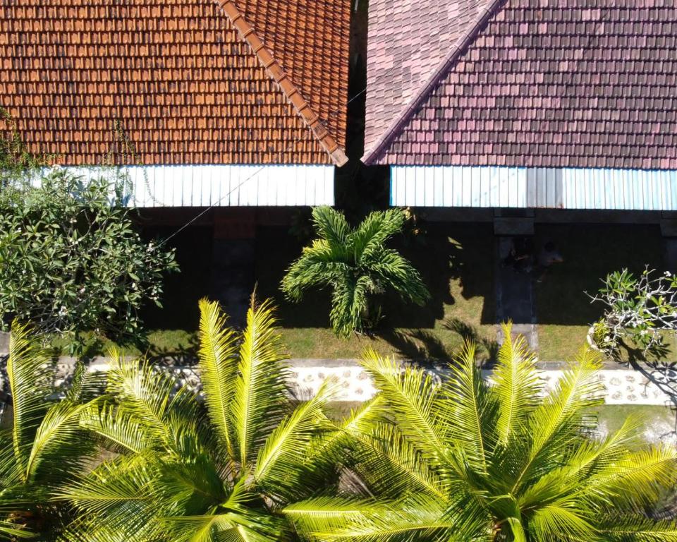 Hello Penida House photo