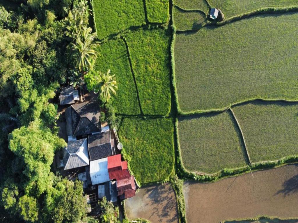 Jonny's Places, Tetebatu