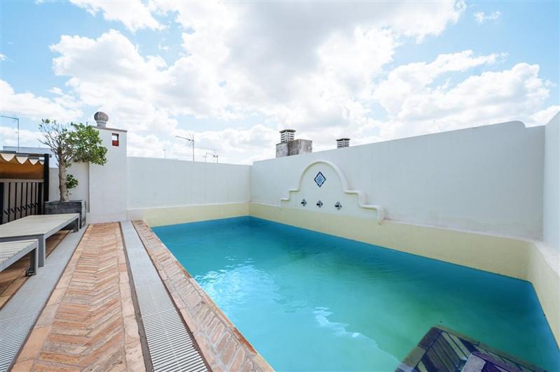CASA PALACIO SXVIII CON PISCINA en centro histórico de SEVILLA - 3