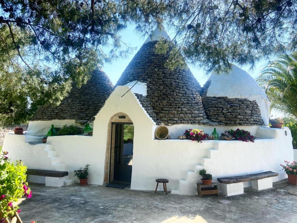 Trullo Le radici del Pino - 1