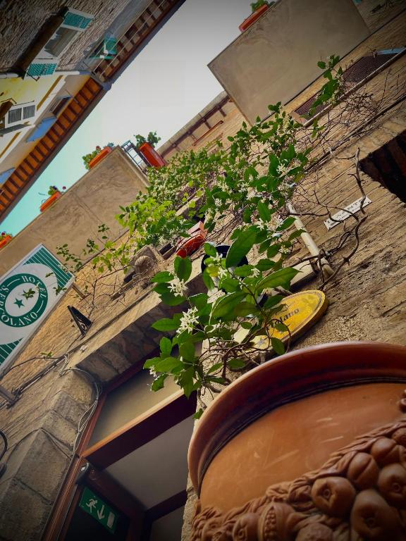 Hotel S. Ercolano photo