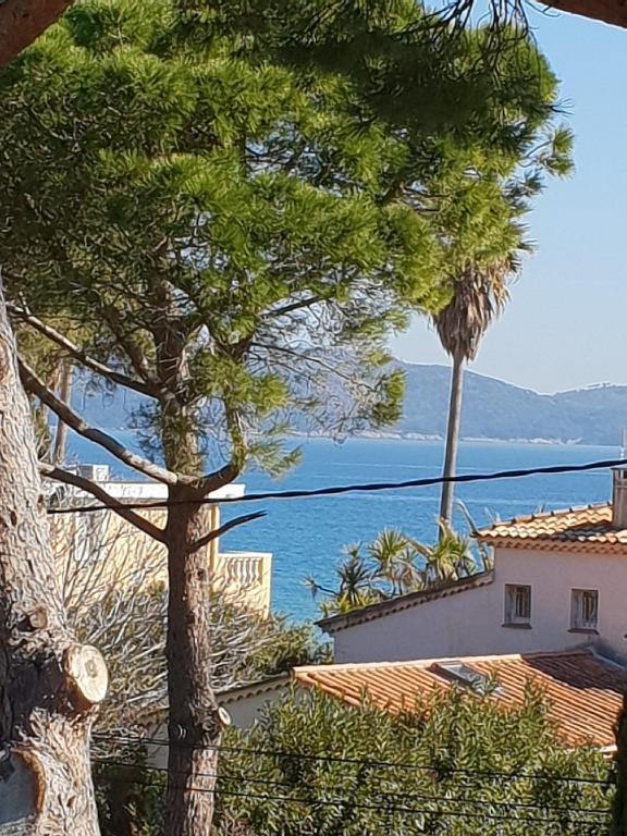Superbe appartement cosy vue mer pieds dans l’eau - 4
