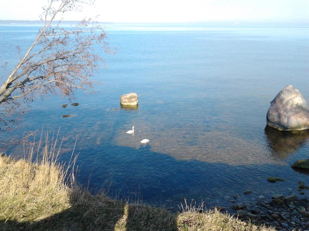 Surrounding environment