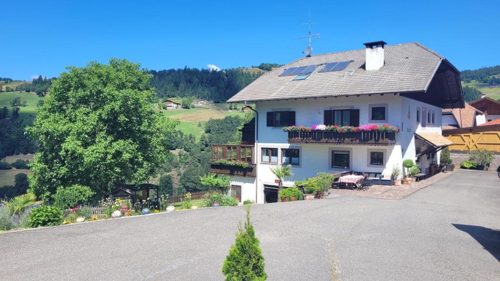 Waldhof - 2