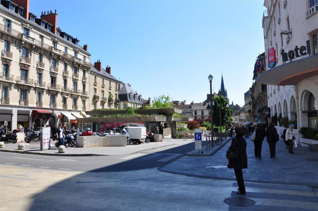 Le Darcy, grand appartement centre ville Dijon, proche gare - 4