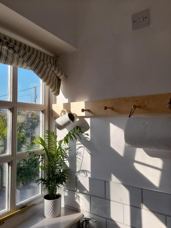 My Little Studio, Farmborough photo 8