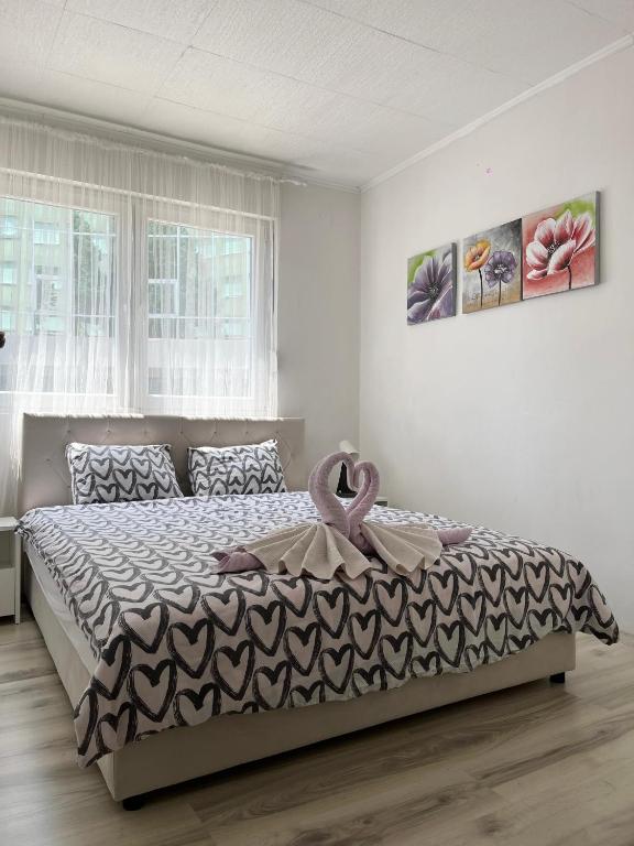 Starlux apartment photo