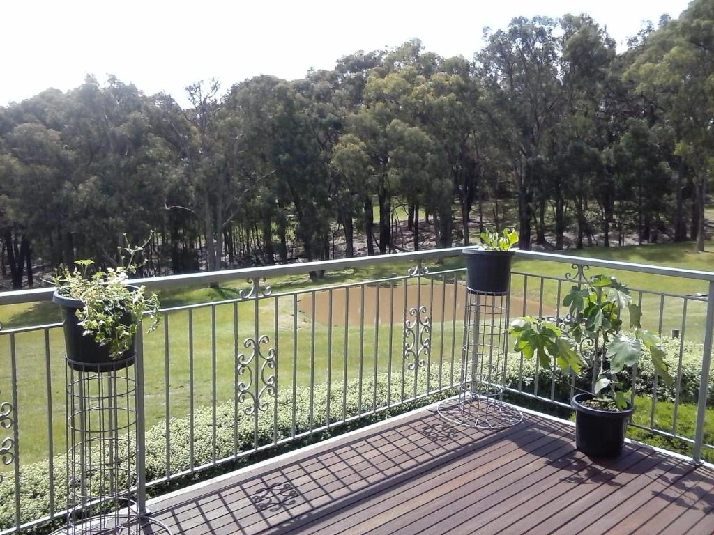 Unique Farmstay Experience photo