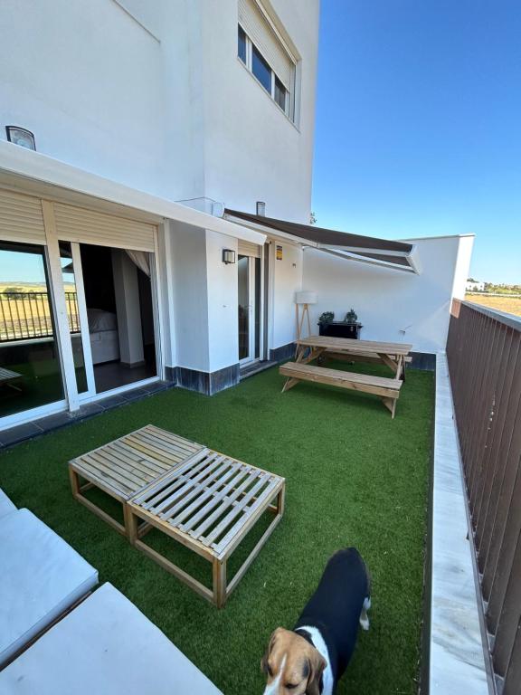 Casa playa Conil - 4