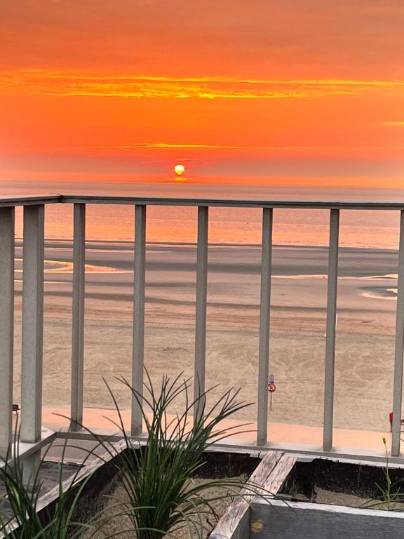 Sea-Senses com/Blue Moon, Koksijde