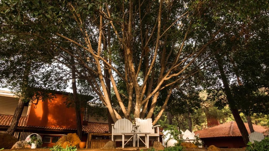 バルコニー/テラス