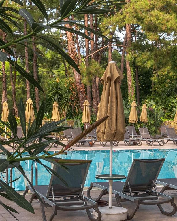 スイミングプール