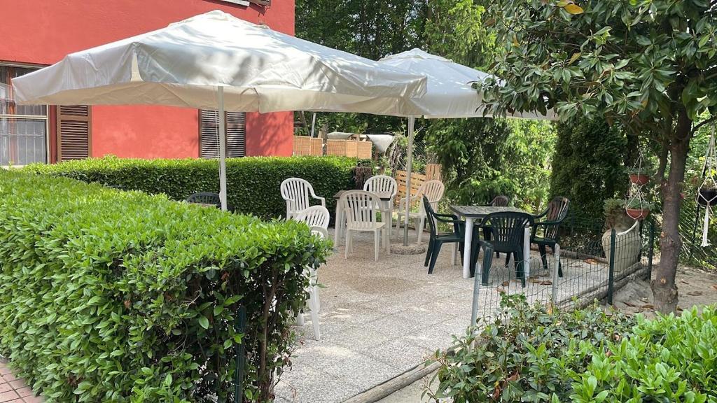 Mosci's Bed & Beer Bar