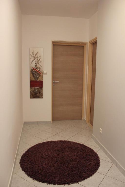 Apartments Kike&Ana photo