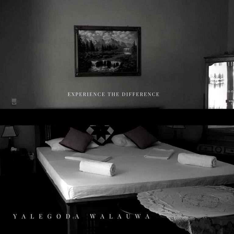 Yalegoda Walauwa Homestay photo