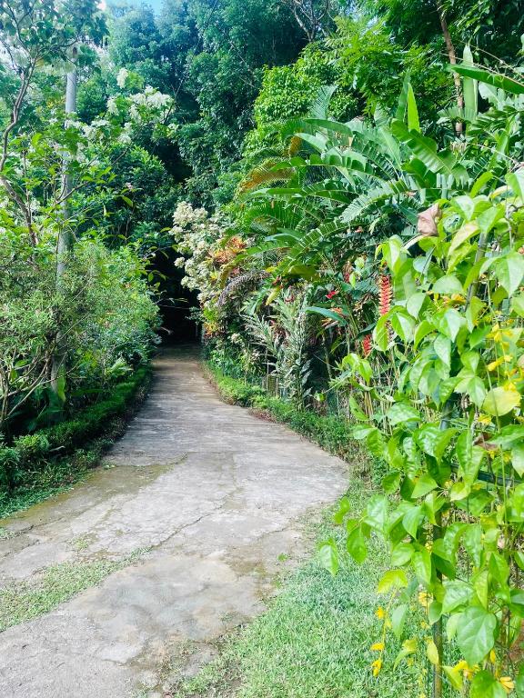 Yalegoda Walauwa Homestay photo