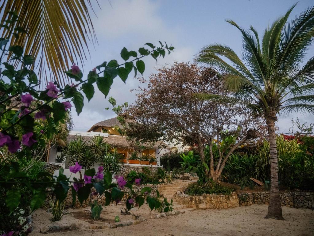 Casa La Bomba - 1