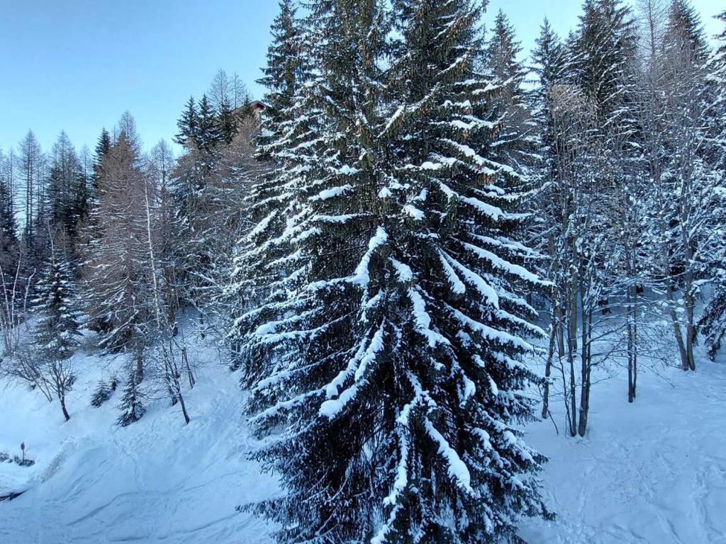 Studio cosy pour 2, proche pistes et commerces avec Wifi, parking Arc 1800 - FR-1-411-774 - 2