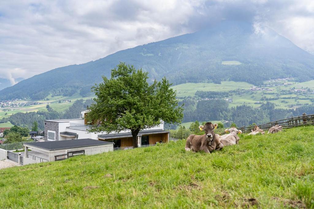 Haus Nordketten Blick - 2
