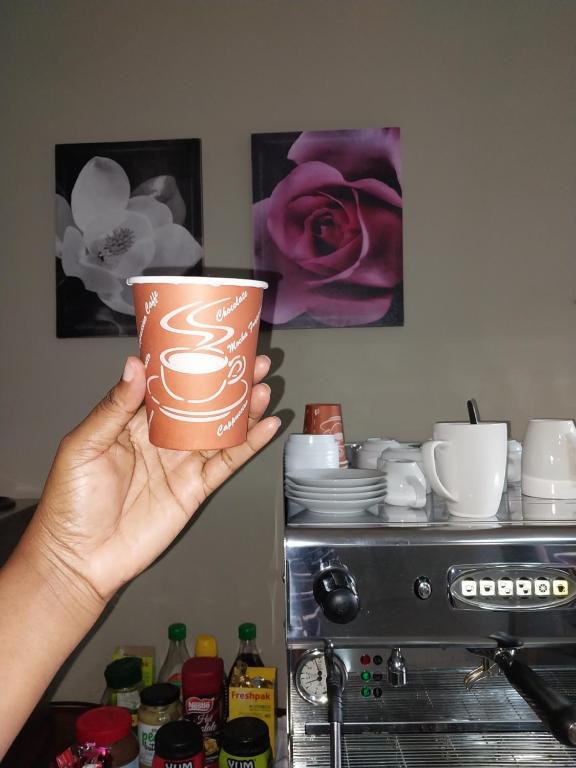 お料理のイメージ