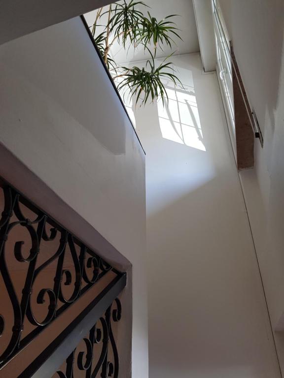 Hotel Villa Pagoda photo