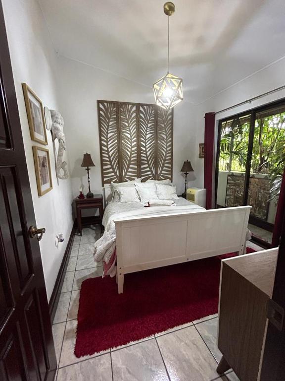 Casa Sophia 3 listings Apartment 1 or Apartment 2 separately or Apt 1 and 2 together all with FO int 전경