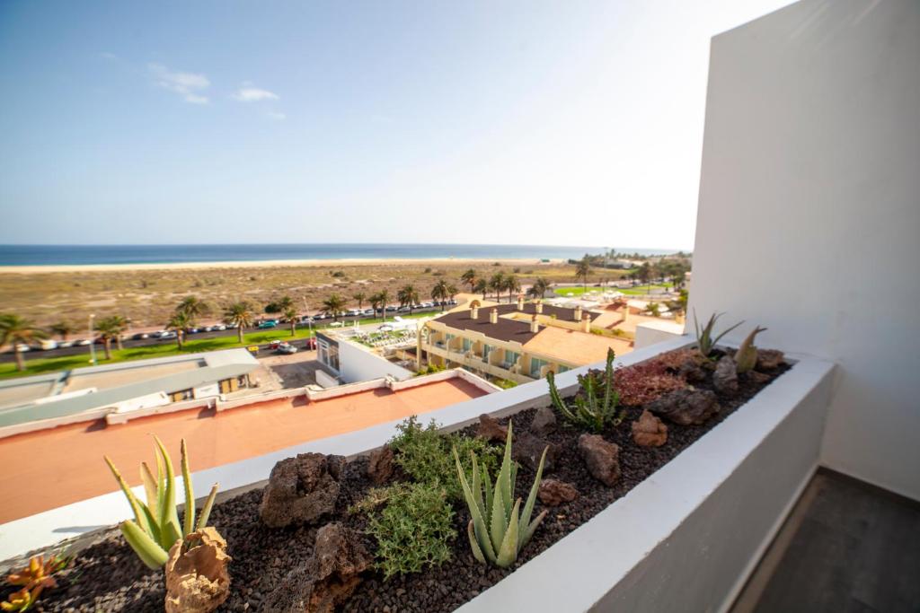 Amazing Luxury Apartment, La Casa del Corazon - 1