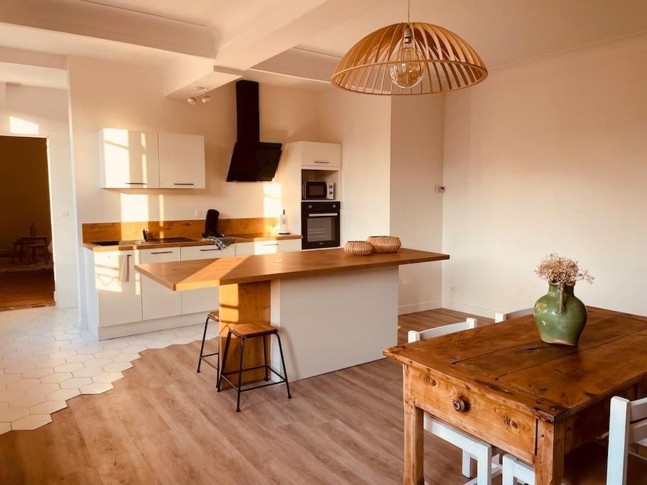 Charmant appartement Lautrec