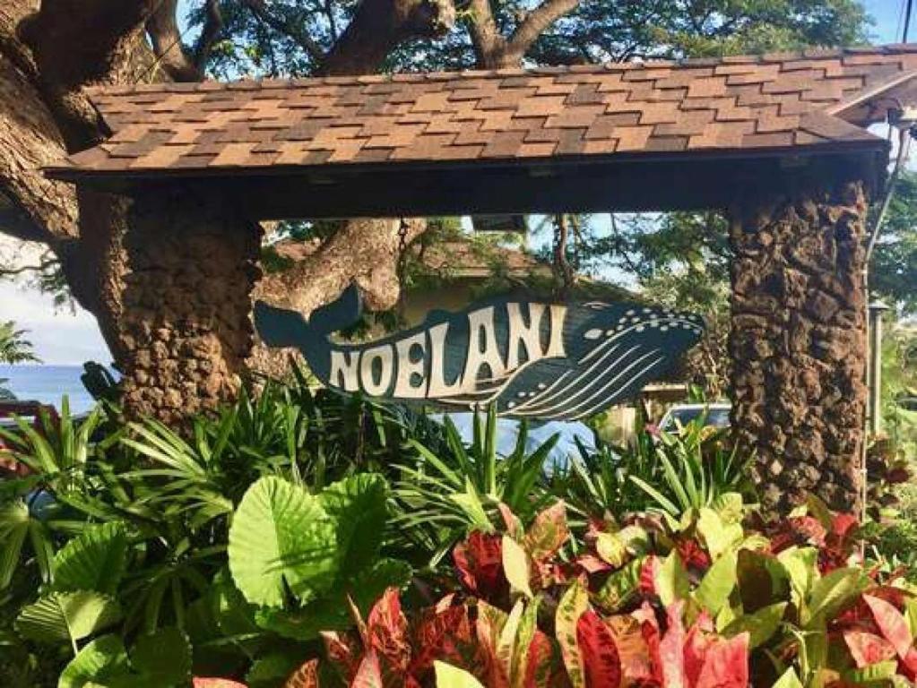 Noelani 104, Kahana