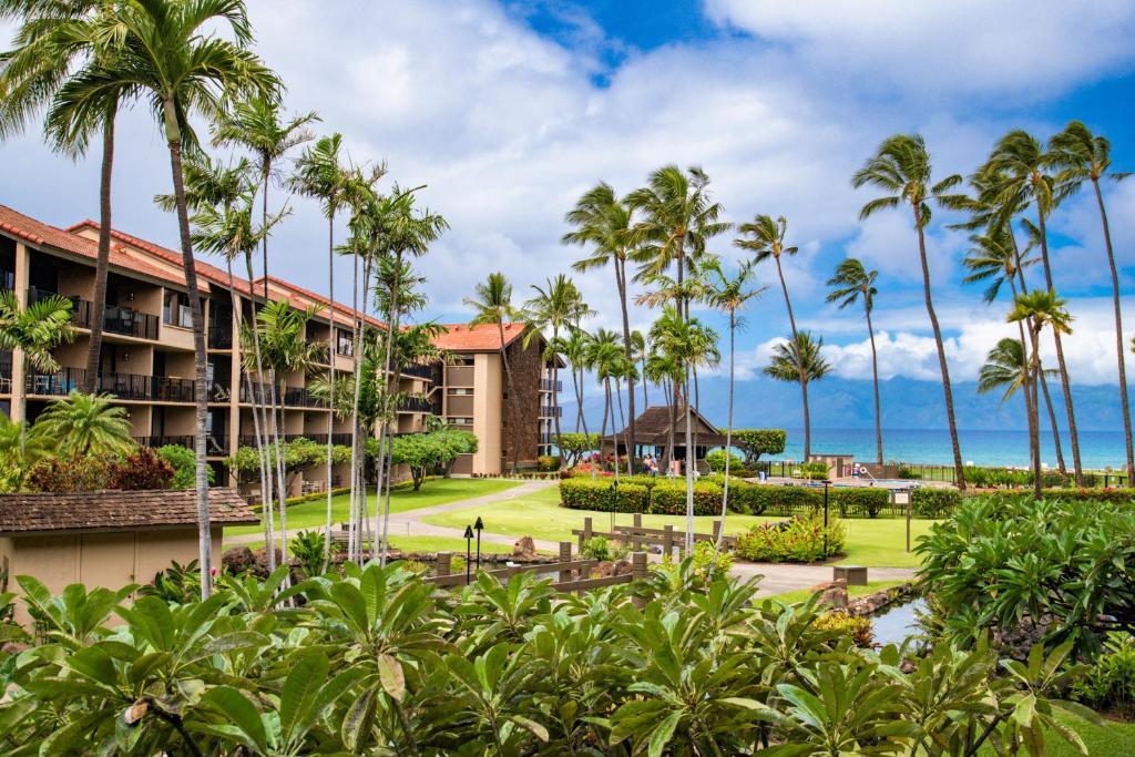 Papakea C203, Kahana