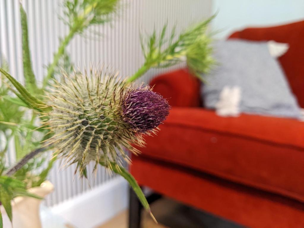 Self-Catering Suite in rural guest house 10 min to Islay Ferry Terminal, Ronachan