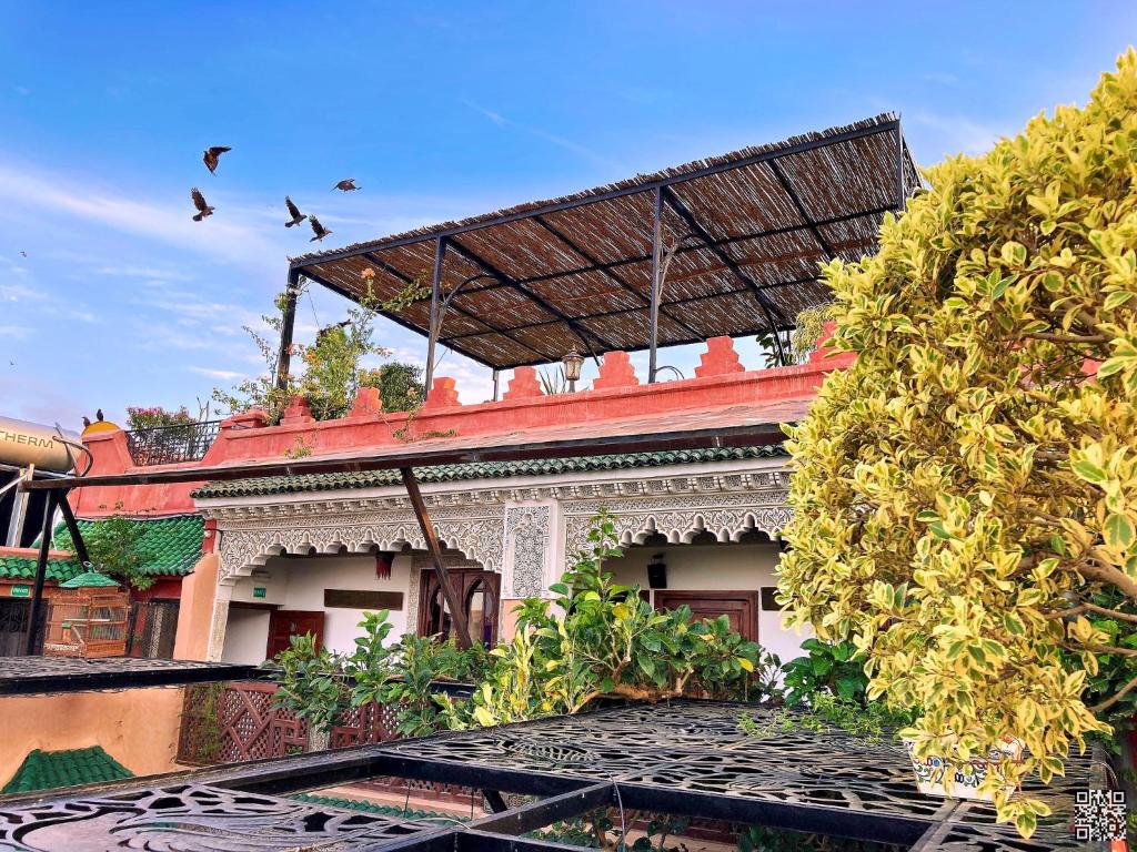 Riad Toyour- Riad of birds photo