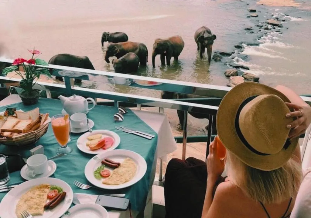 Hotel Elephant Park - NEW DEAL! Exclusive Offers on Pickups Available!, hotel in Pinnawala