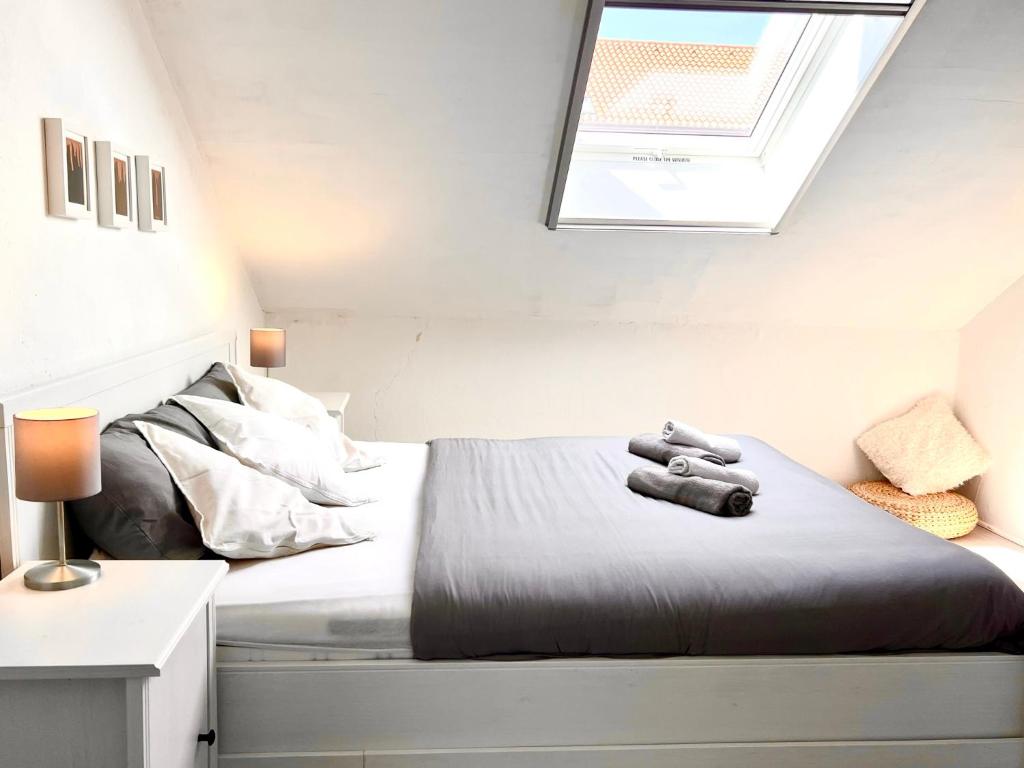 Apartman Mihaela, Šibenik