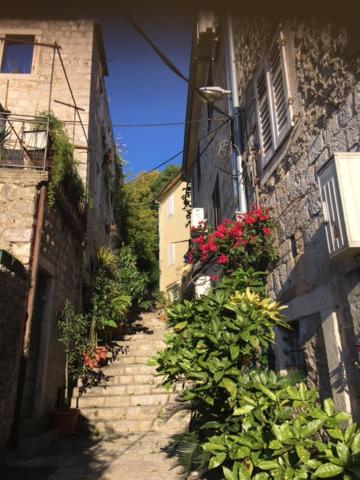 Apartment Simo, Herceg Novi