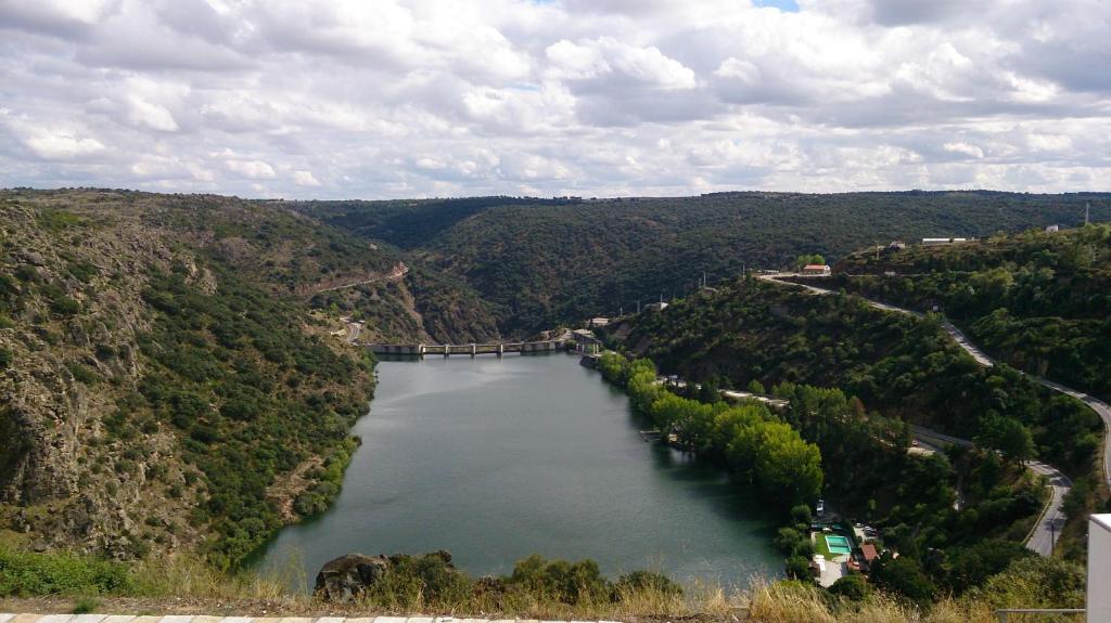 Flor Do Douro photo