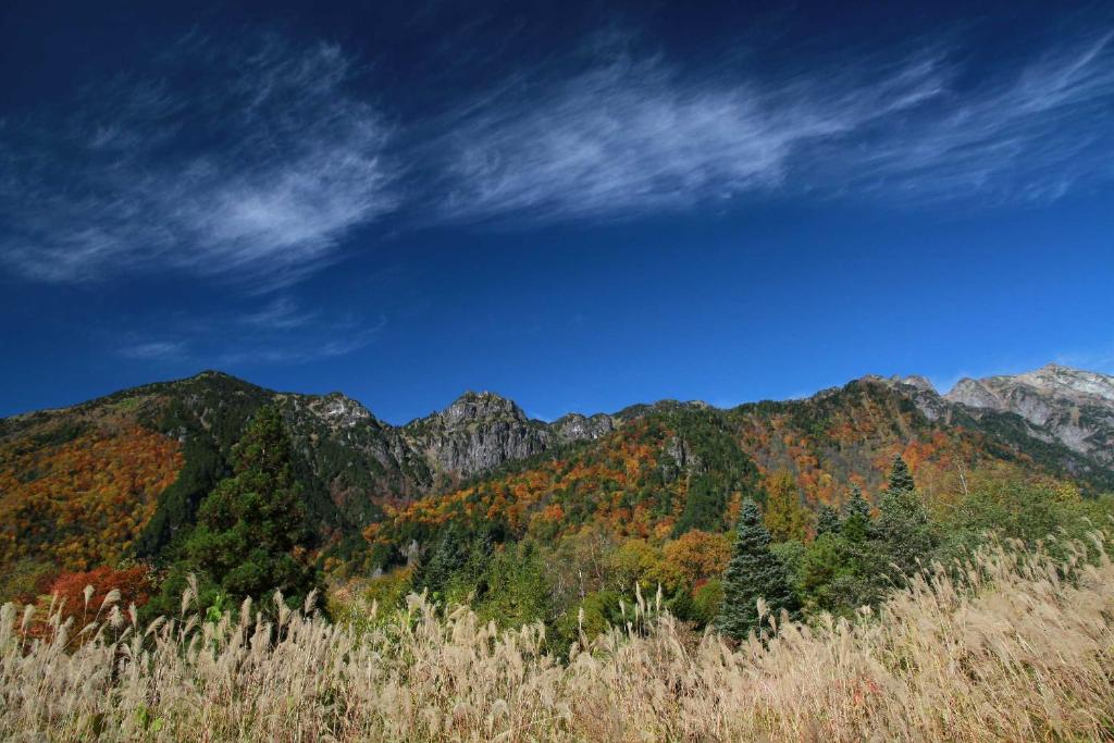 Surrounding environment