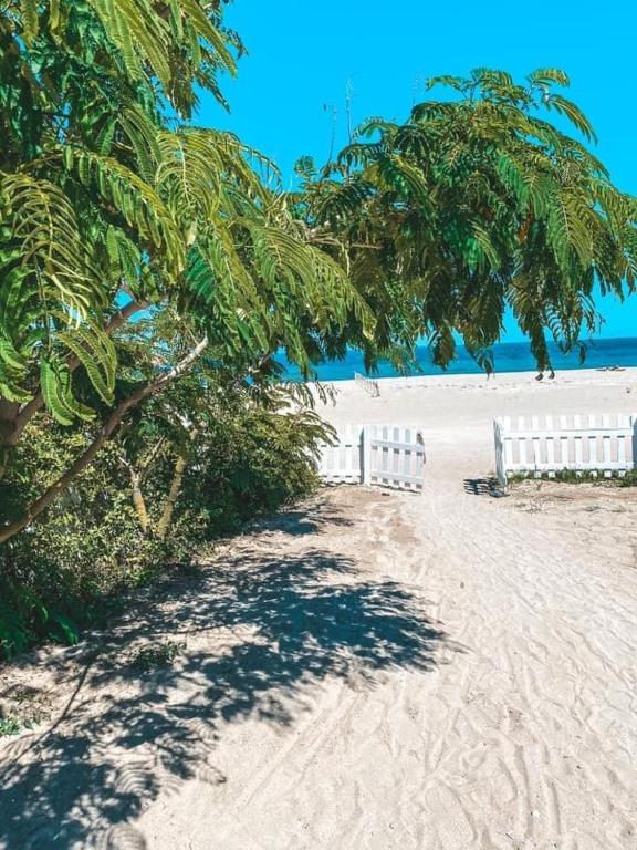 Casa De Mare photo