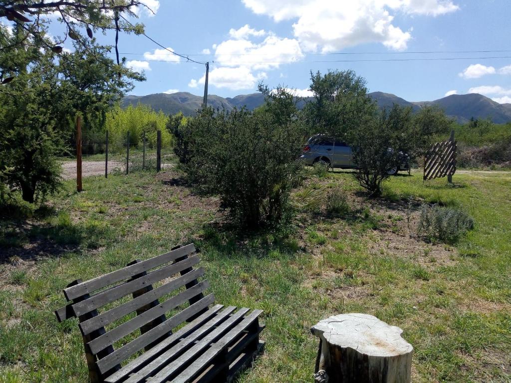 Cabaña Domo Delta - 3