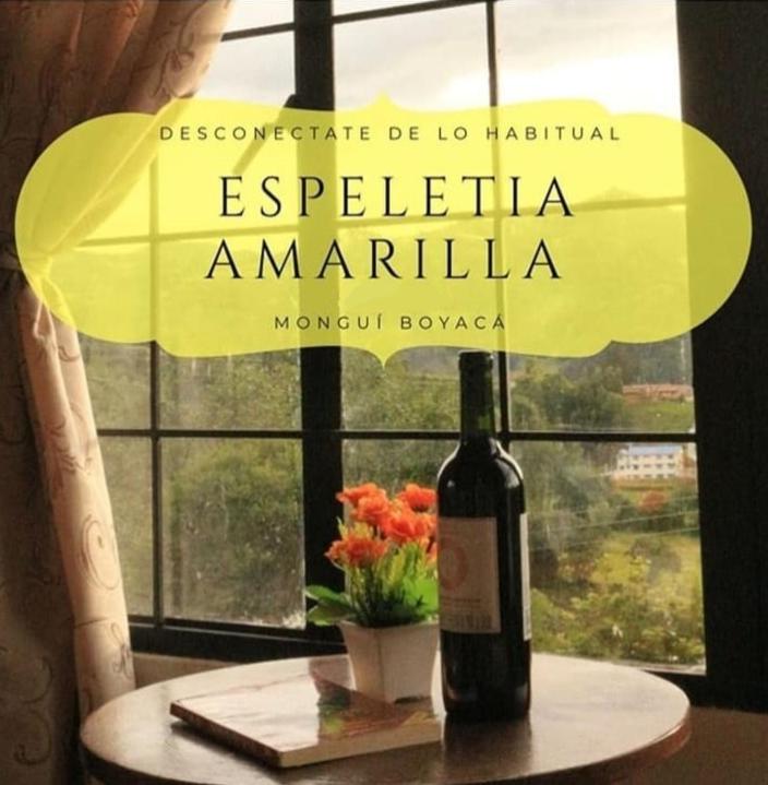 Hostal Espeletia Amarilla - 1