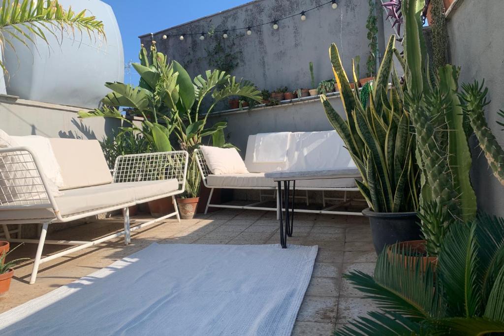 HOMESTAY rooftop - 2
